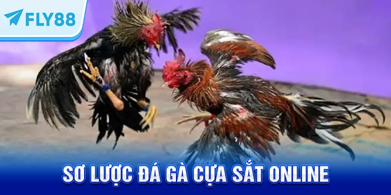 Sơ lược đá gà cựa sắt online